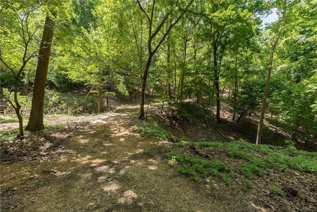 11.5ACRES Sunset Dr, Eureka Springs, AR 72631 - photo 14