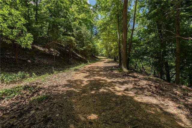 11.5ACRES Sunset Dr, Eureka Springs, AR 72631 - photo 15