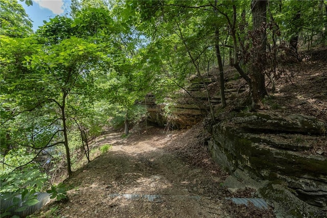 11.5ACRES Sunset Dr, Eureka Springs, AR 72631 - photo 16