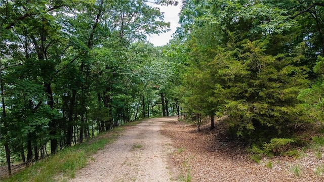 11.5ACRES Sunset Dr, Eureka Springs, AR 72631 - photo 17