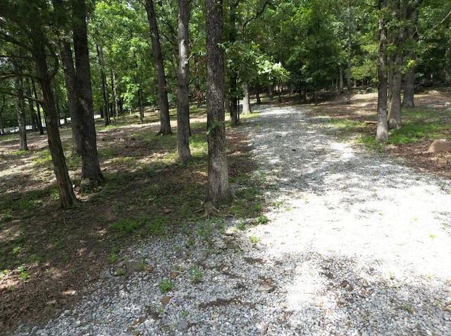 137 Woodcliff Rd, Springdale, AR 72764 - photo 57