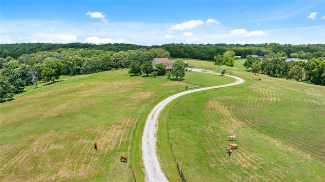 12713 Pleasant Valley Rd, Gentry, AR 72734 - photo 49