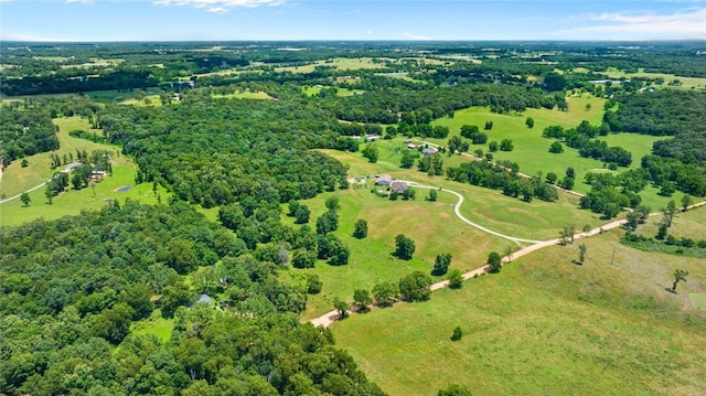 12713 Pleasant Valley Rd, Gentry, AR 72734 - photo 59