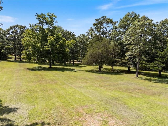 14648 Director Rd, West Fork, AR 72774 - photo 3
