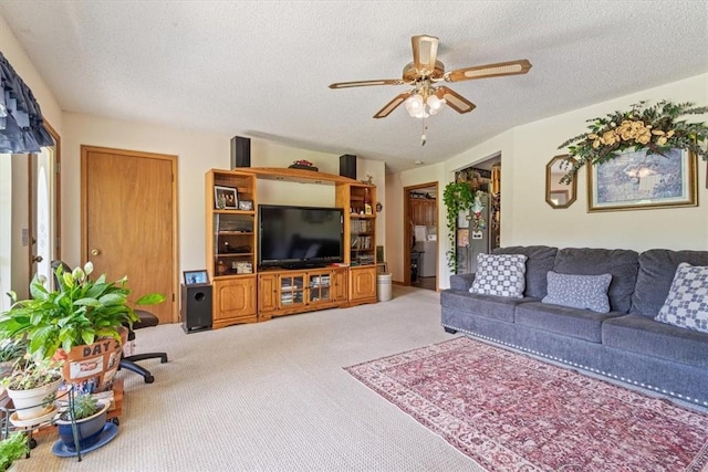 14648 Director Rd, West Fork, AR 72774 - photo 6