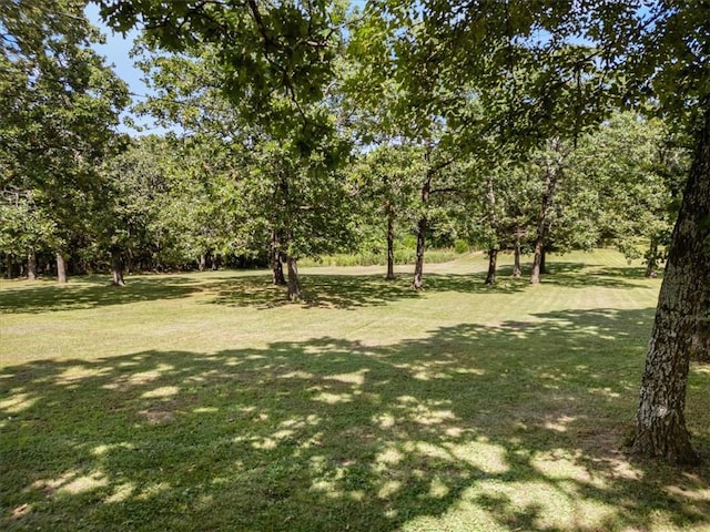 14648 Director Rd, West Fork, AR 72774 - photo 20