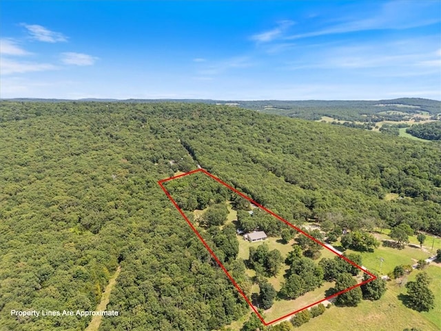 14648 Director Rd, West Fork, AR 72774 - photo 23