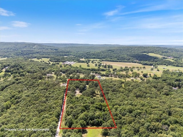 14648 Director Rd, West Fork, AR 72774 - photo 24