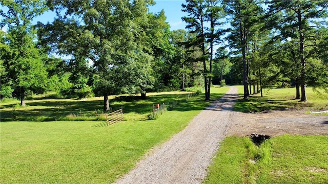 8500 Rock Creek Rd, Mulberry, AR 72947 - view of community with a lawn and dirt driveway