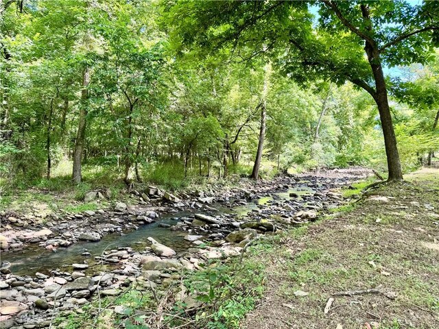 8500 Rock Creek Rd, Mulberry, AR 72947 - view of tree filled area