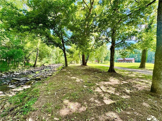 8500 Rock Creek Rd, Mulberry, AR 72947 - view of yard