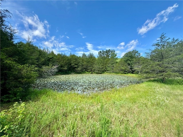 8500 Rock Creek Rd, Mulberry, AR 72947 - view of tree filled area with a water view