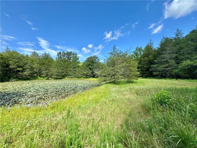 8500 Rock Creek Rd, Mulberry, AR 72947 - view of wooded area