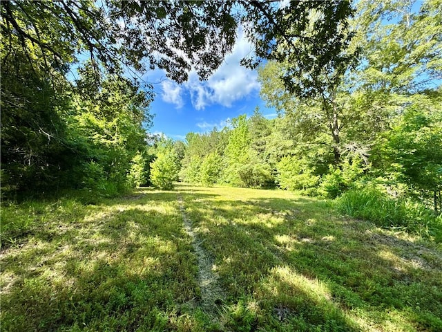 8500 Rock Creek Rd, Mulberry, AR 72947 - view of yard with a wooded view
