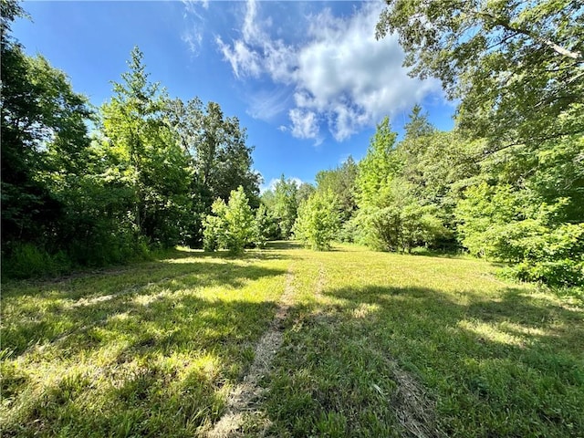 8500 Rock Creek Rd, Mulberry, AR 72947 - view of grassy yard with a wooded view
