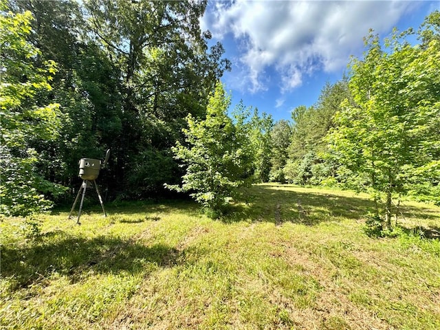 8500 Rock Creek Rd, Mulberry, AR 72947 - view of yard with a forest view