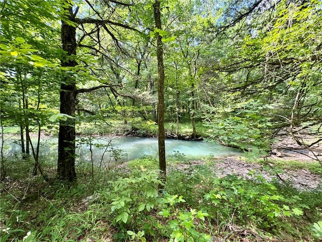 8500 Rock Creek Rd, Mulberry, AR 72947 - water view