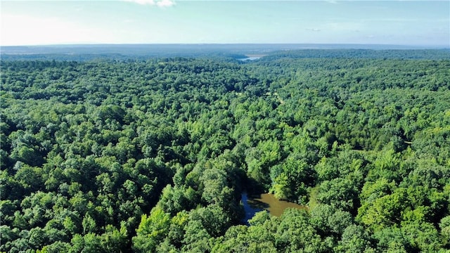 8500 Rock Creek Rd, Mulberry, AR 72947 - aerial overview of property's location with a forest