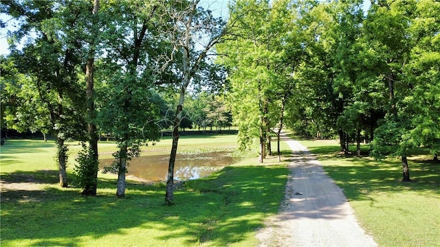 8500 Rock Creek Rd, Mulberry, AR 72947 - view of property's community featuring a yard
