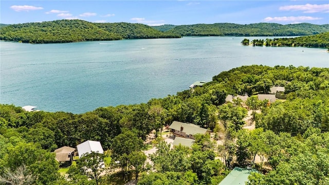 22451 Indian Point Rd, Garfield, AR 72732 - photo 21