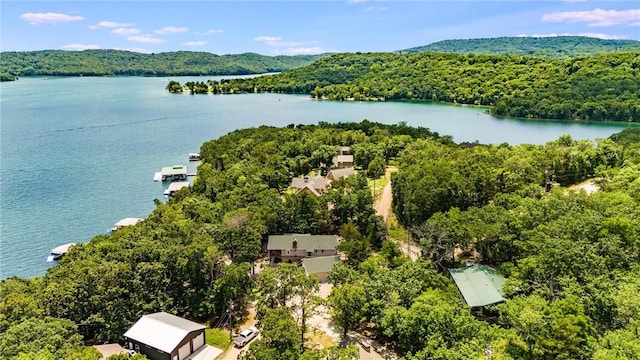 22451 Indian Point Rd, Garfield, AR 72732 - photo 30