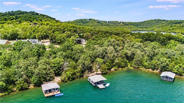 22451 Indian Point Rd, Garfield, AR 72732 - photo 52