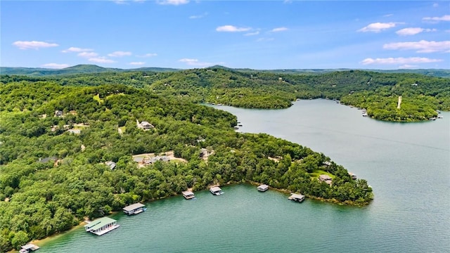 22451 Indian Point Rd, Garfield, AR 72732 - photo 42