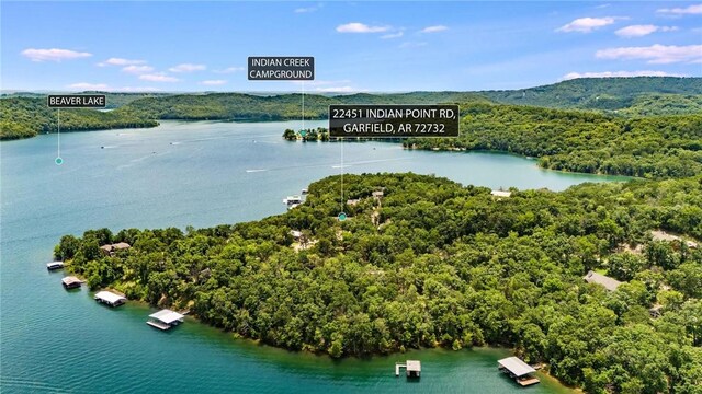 22451 Indian Point Rd, Garfield, AR 72732 - photo 11