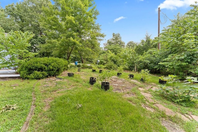 20 Lerwick Ln, Bella Vista, AR 72715 - photo 30