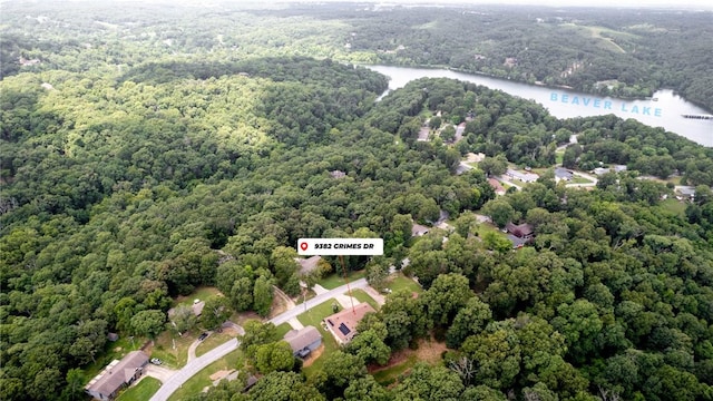 9382 Grimes Dr, Rogers, AR 72756 - bird's eye view of a forest and a nearby body of water