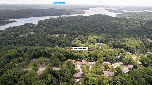 9382 Grimes Dr, Rogers, AR 72756 - bird's eye view of a heavily wooded area and a large body of water