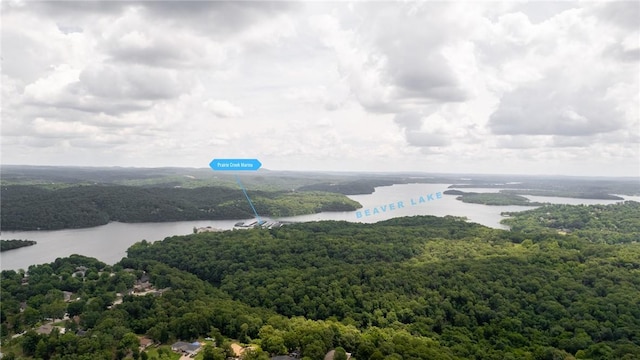 9382 Grimes Dr, Rogers, AR 72756 - aerial view of a heavily wooded area and a large body of water