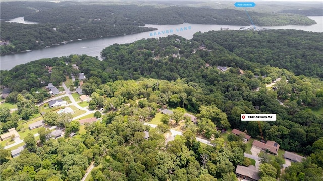 9382 Grimes Dr, Rogers, AR 72756 - bird's eye view of a forest and a large body of water