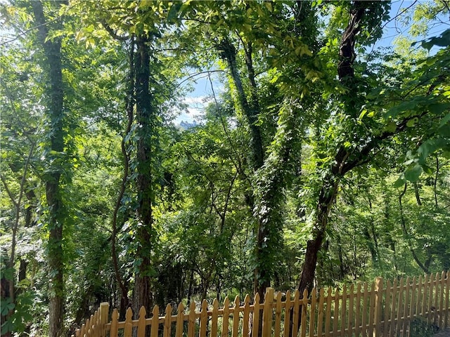 16 Nut St, Eureka Springs, AR 72632 - photo 27