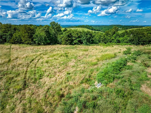 2786 NC-3510, Western Grove, AR 72685 - photo 2