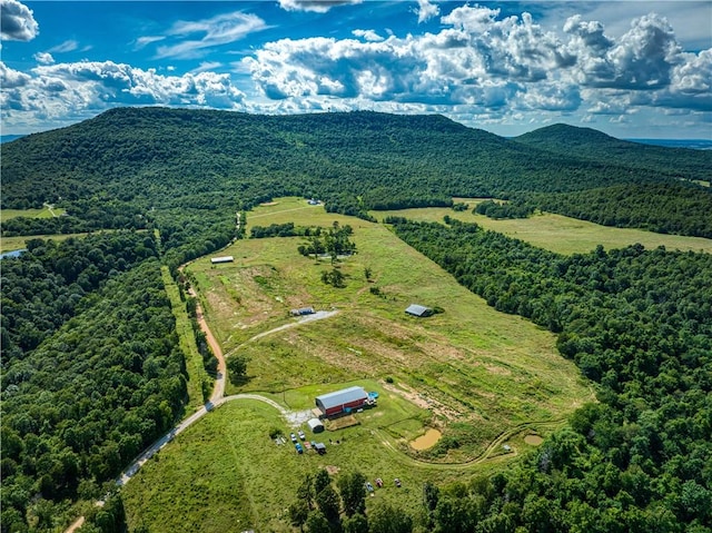 2786 NC-3510, Western Grove, AR 72685 - photo 6