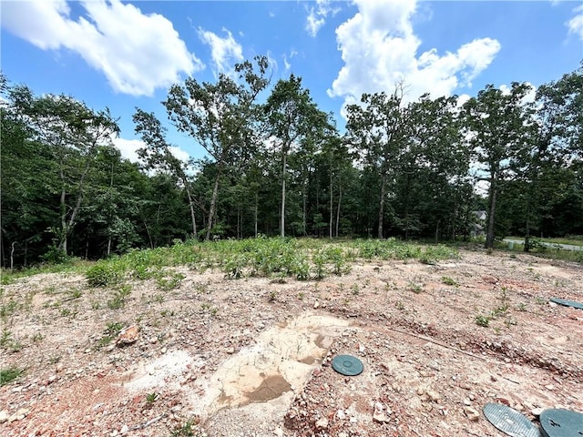 37 Copinsay Dr, Bella Vista, AR 72715 - photo 26