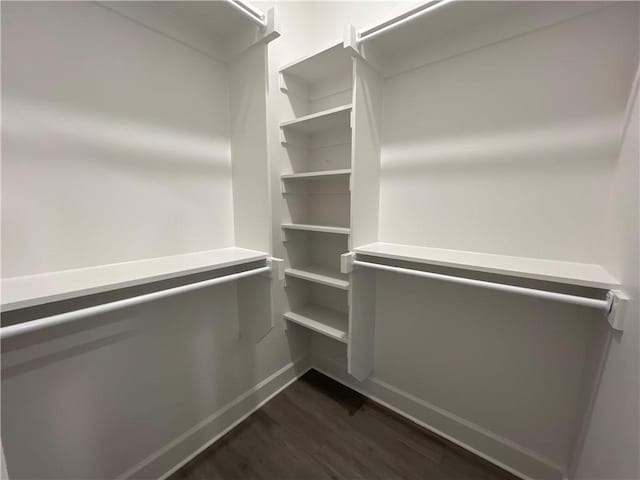 1340 Mt Hood Dr, Centerton, AR 72719 - walk in closet with dark wood finished floors