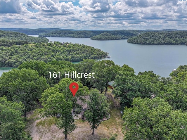 161 Hillcrest Rd, Eureka Springs, AR 72631 - drone / aerial view of a forest and a large body of water