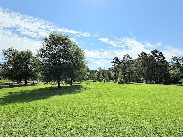 10035 Uphill Ln, Dardanelle, AR 72834 - photo 6