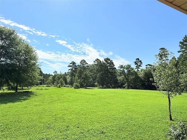 10035 Uphill Ln, Dardanelle, AR 72834 - photo 7