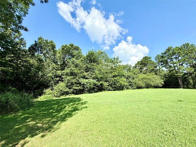 10035 Uphill Ln, Dardanelle, AR 72834 - photo 8