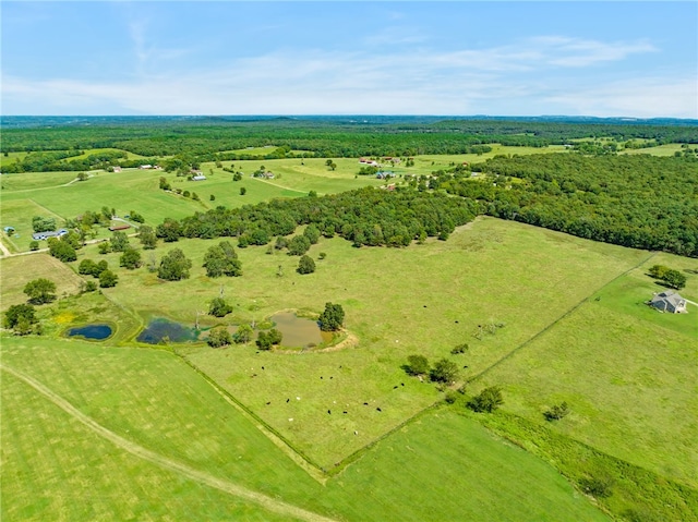 17171 Winwood Ranch Rd, Siloam Springs, AR 72761 - photo 4