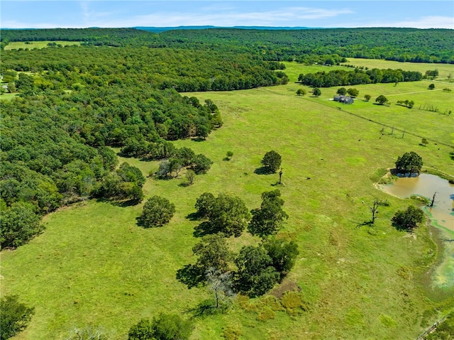 17171 Winwood Ranch Rd, Siloam Springs, AR 72761 - photo 5