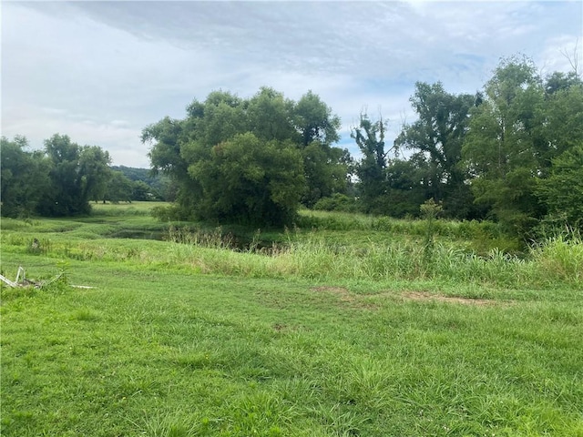 3218 Mulberry Wire Rd, Mulberry, AR 72947 - view of yard