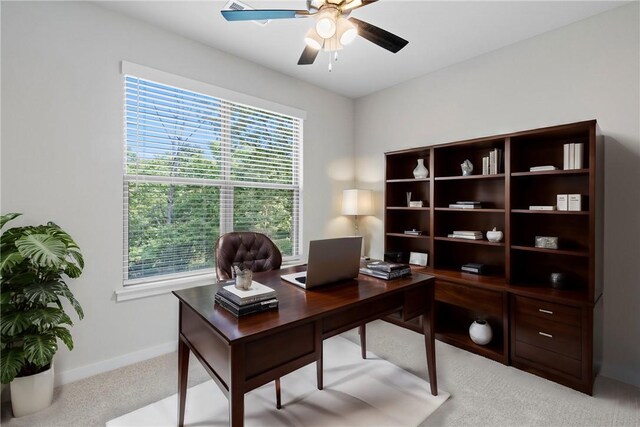 13 Carrick Dr, Bella Vista, AR 72715 - photo 22