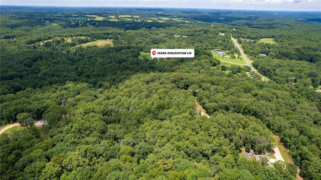 16590 Roughton Ln, Pea Ridge, AR 72751 - photo 44