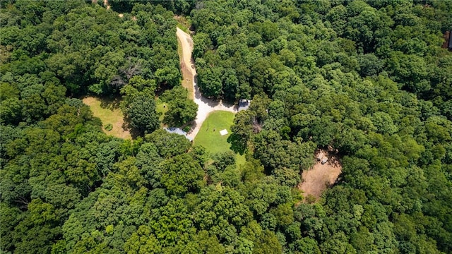 16590 Roughton Ln, Pea Ridge, AR 72751 - photo 42