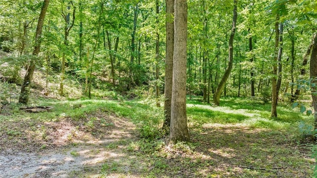 22717 Whippoorwill Ln, Springdale, AR 72762 - photo 3