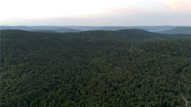 164 Madison 5290, Elkins, AR 72727 - photo 3